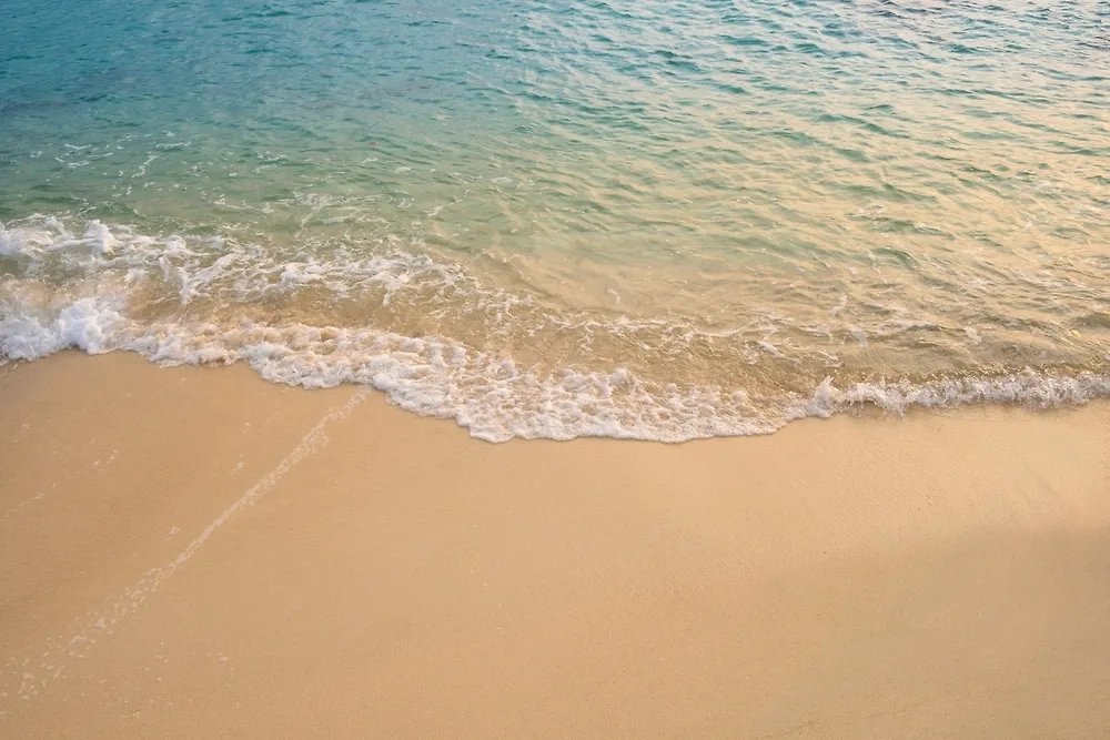 Обложка © Shutterstock / FOTODOM / Me dia