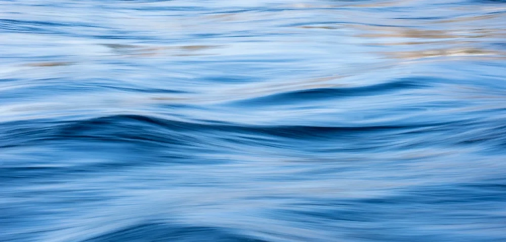 Обложка © Shutterstock / FOTODOM / Conny Sjostrom