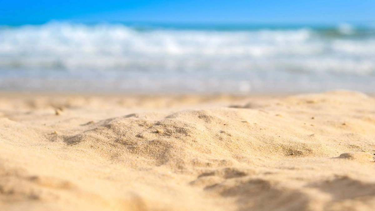 Обложка © Shutterstock / FOTODOM / Me dia