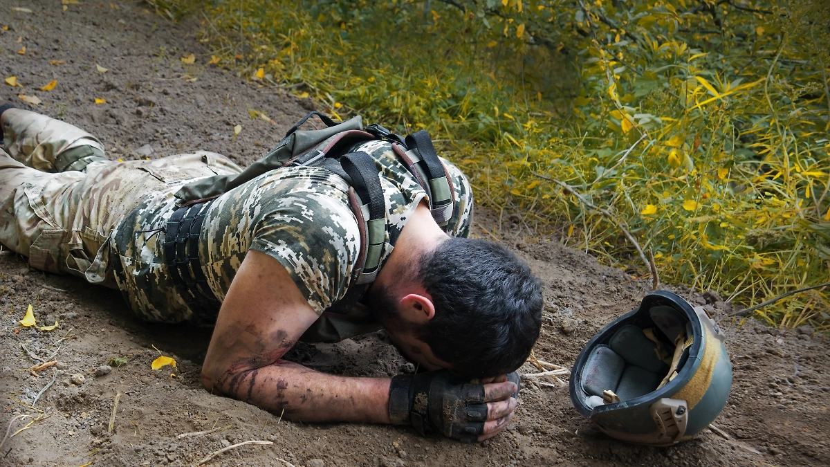 Обложка © Shutterstock / FOTODOM / ArtMari