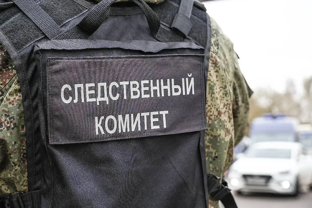 Обложка © TACC / Михаил Терещенко