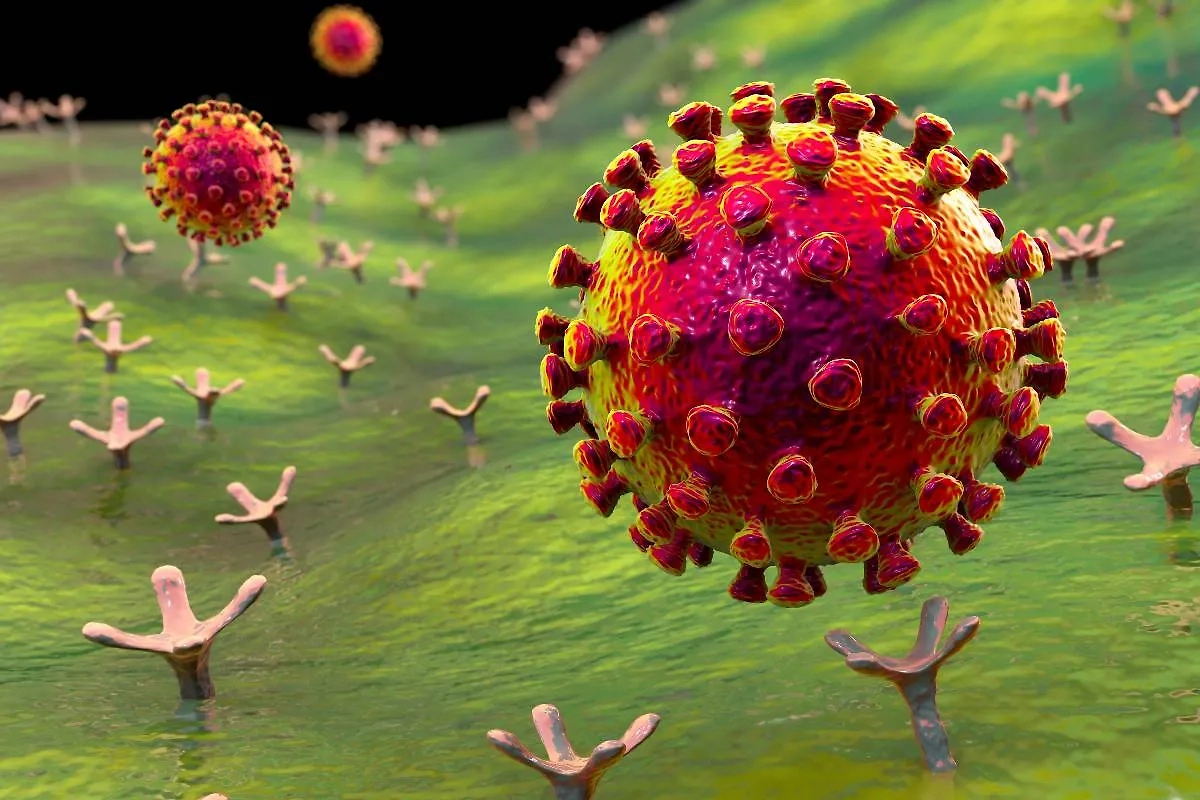 На лето 2025 года новых штаммов коронавируса появилось достаточно много. Фото © Shutterstock / FOTODOM / Kateryna Kon