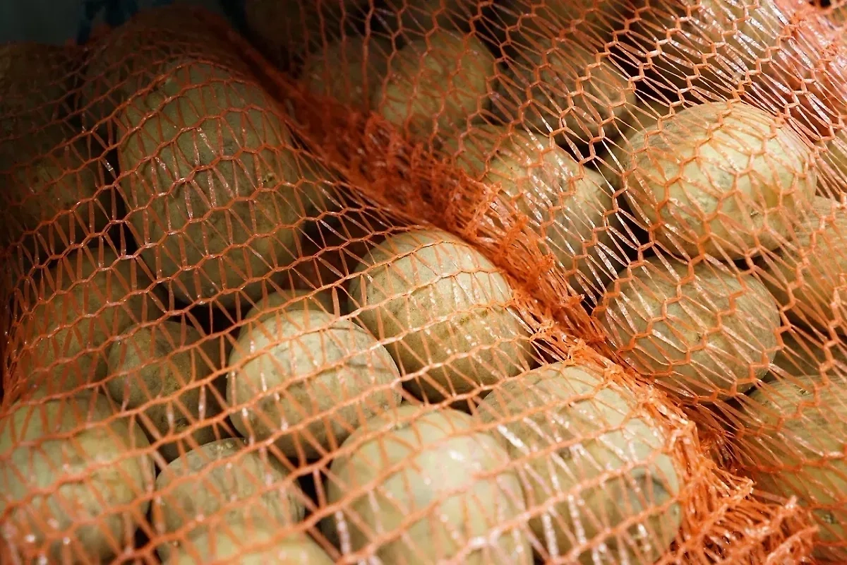 Обложка © Life.ru