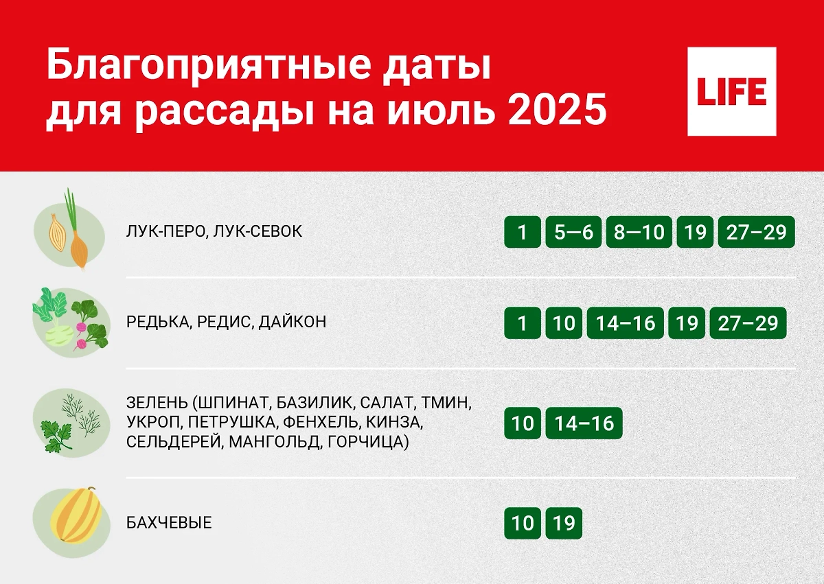 Лунный календарь посевов на июль 2025 года обещает довольно много благоприятных дней. Инфографика © Life.ru.