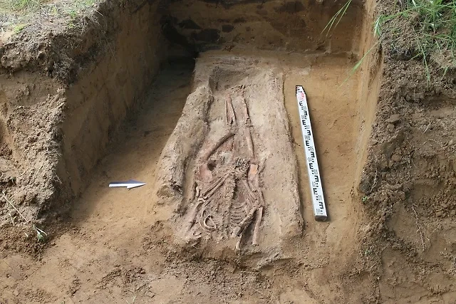 Обложка © VK / ЦСН Амурской области