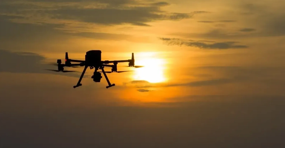 Обложка © Shutterstock / FOTODOM / Hasith Gunathilake