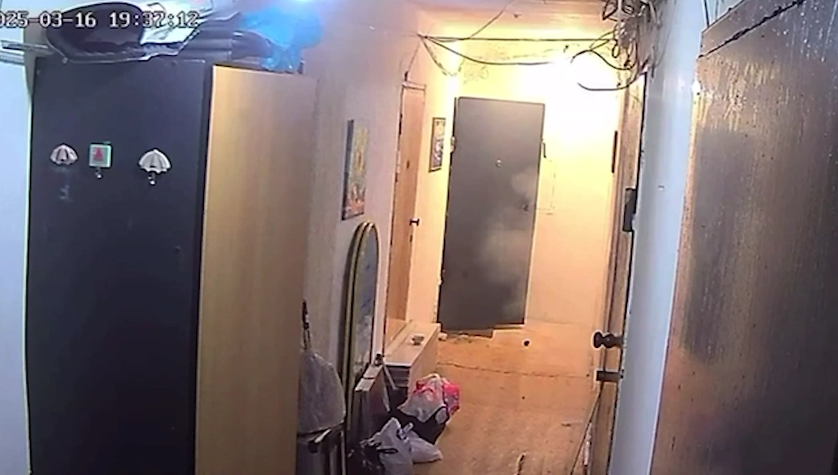 Обложка © SHOT