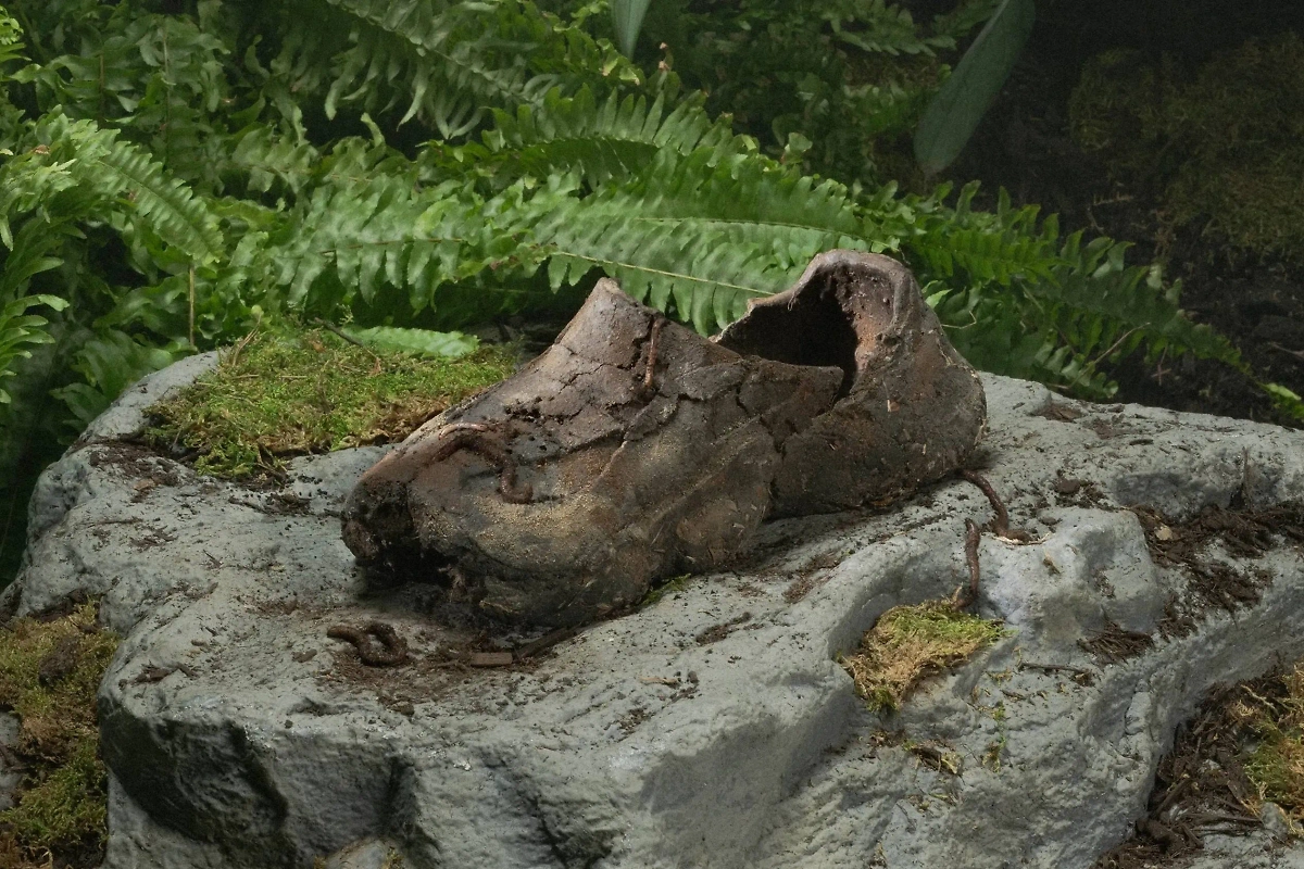 Yerba Madre выпустит экологичные кроссовки из земли. Обложка © Yerba Madre