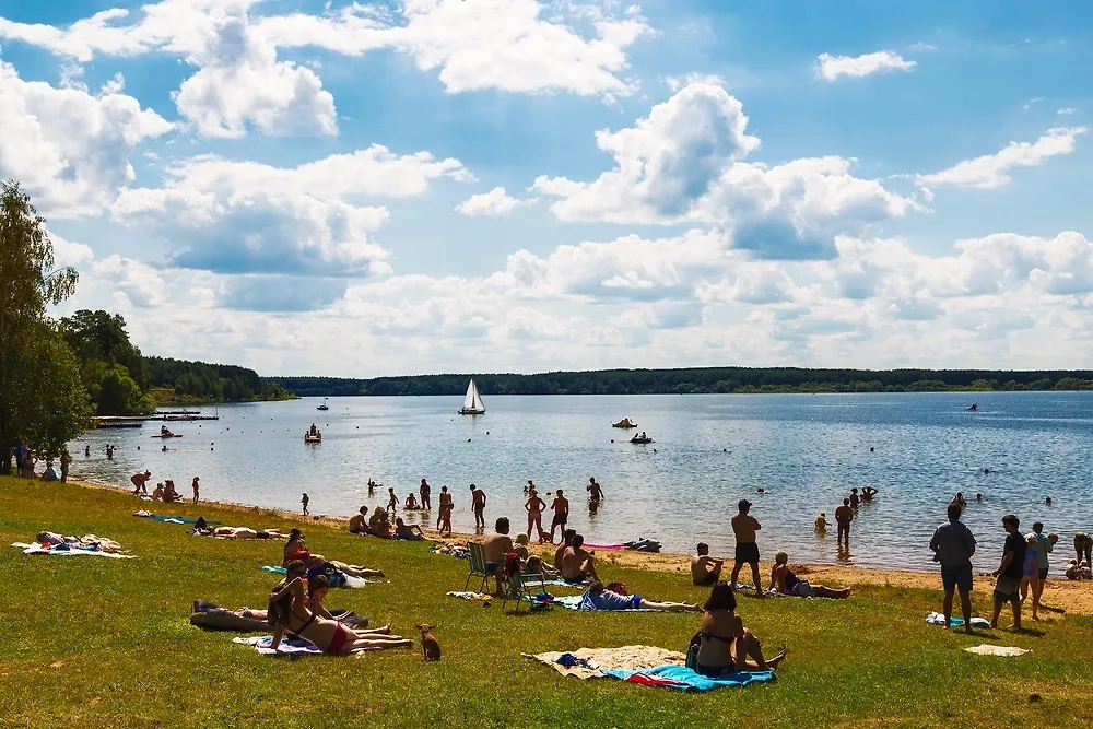 Обложка © Shutterstock / FOTODOM / volkova natalia