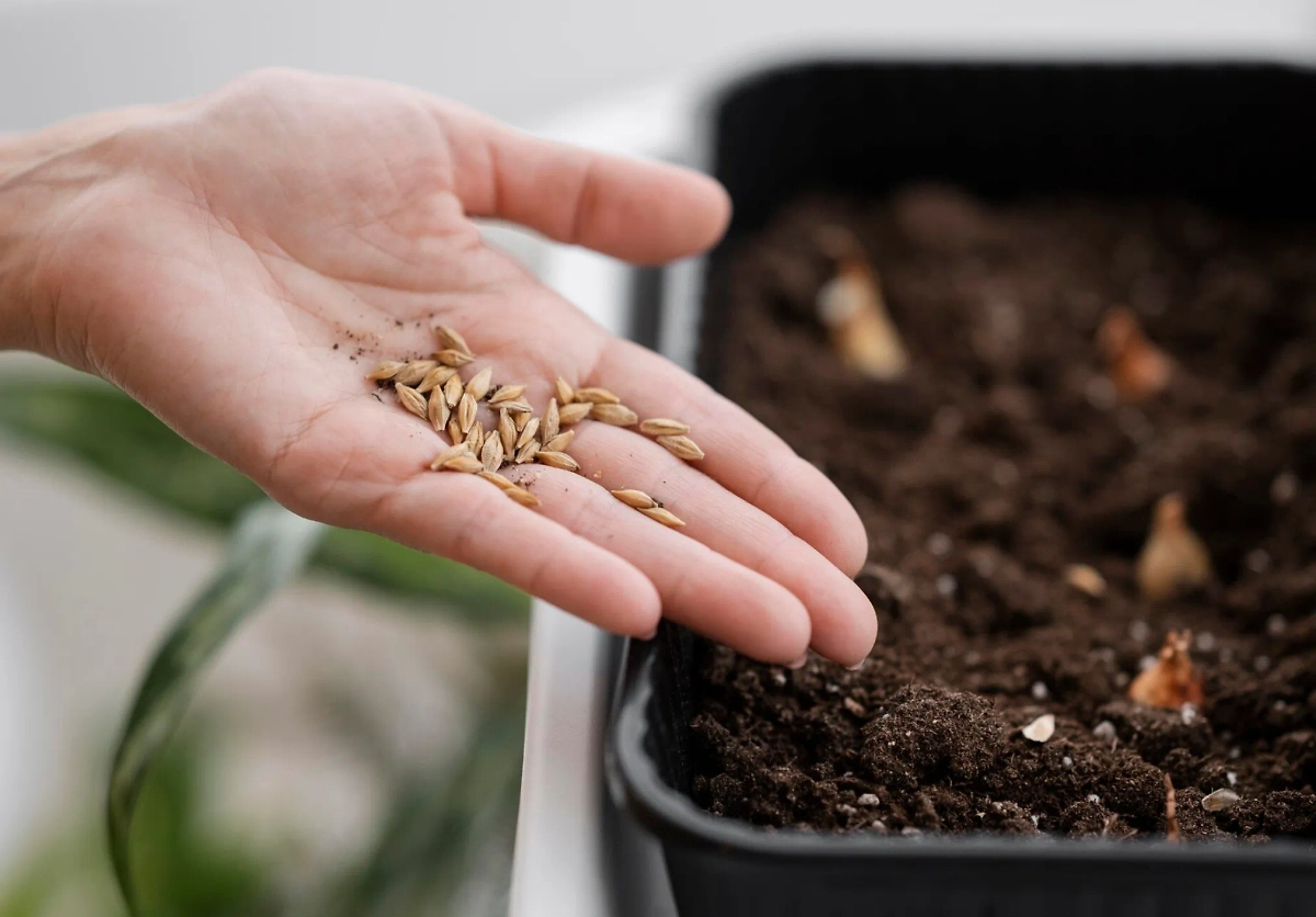 Обложка © Freepik