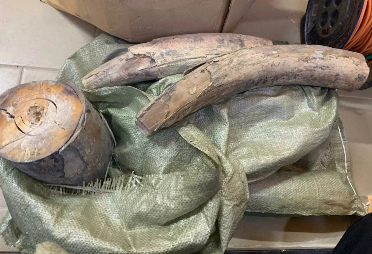 Обложка © Предоставлено Life.ru пресс-службой ФТС