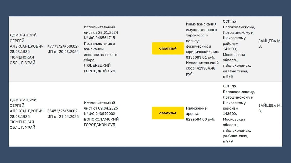 База данных ФССП. Фото © СПАРК