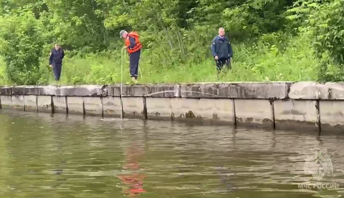 Обложка © Telegram / МЧС Московской области