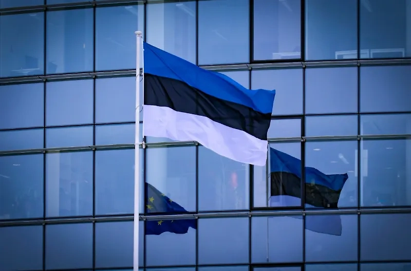 Флаг Эстонии. Обложка © Shutterstock / FOTODOM / janars