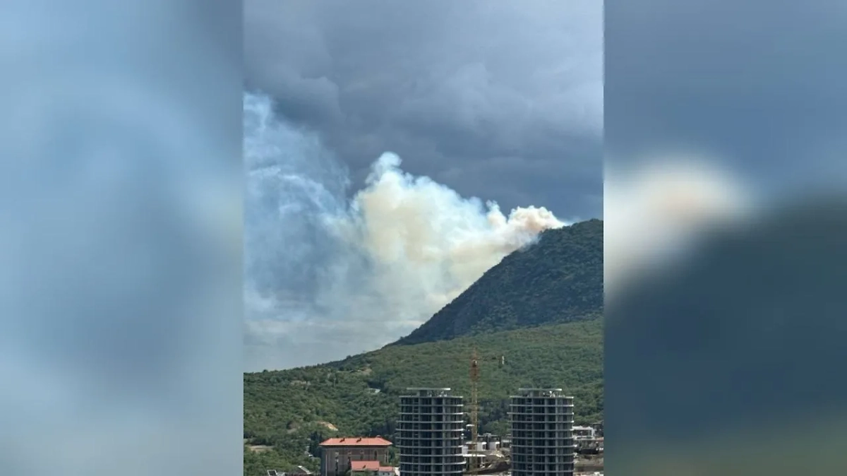 Обложка © Telegram / Плохие новости Крым | Симферополь | Севастополь ДТП