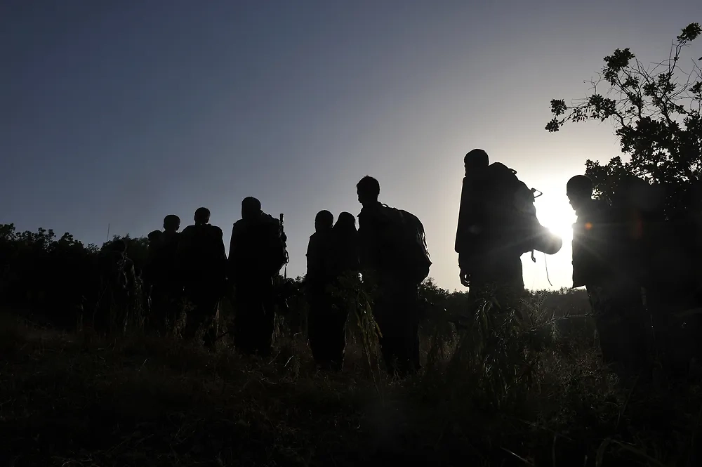 Обложка © Shutterstock / FOTODOM / thomas koch