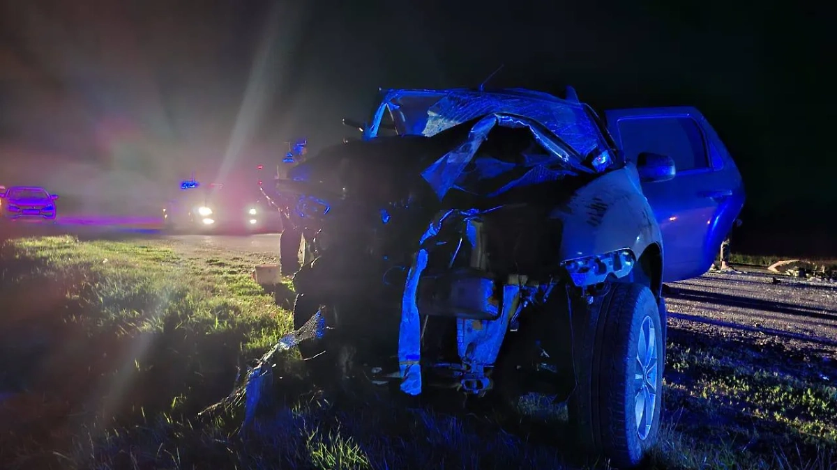 Пять человек погибли в результате ДТП в Ставропольском крае. Обложка © Telegram / Госавтоинспекция Ставрополья