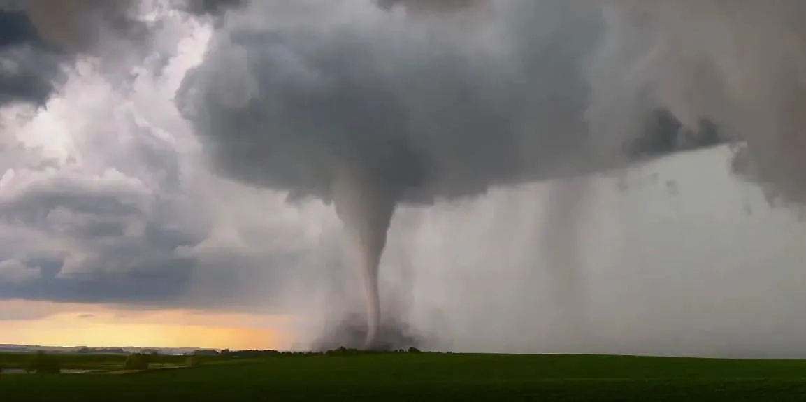 Обложка © X/ wxmstrr