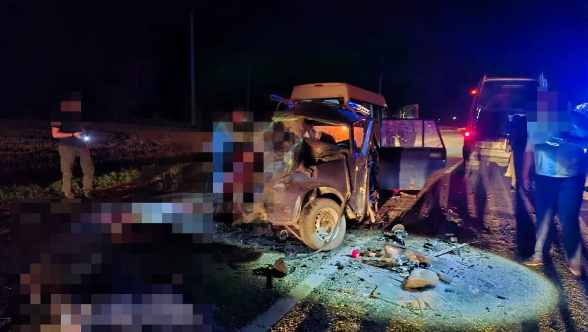 Пять человек погибли в результате ДТП в Ставропольском крае. Обложка © Telegram / Госавтоинспекция Ставрополья