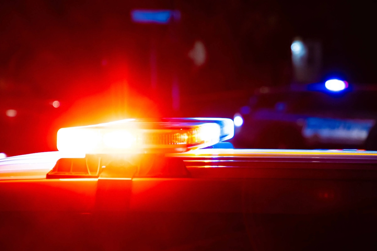 Обложка © Shutterstock / FOTODOM / Ajax9