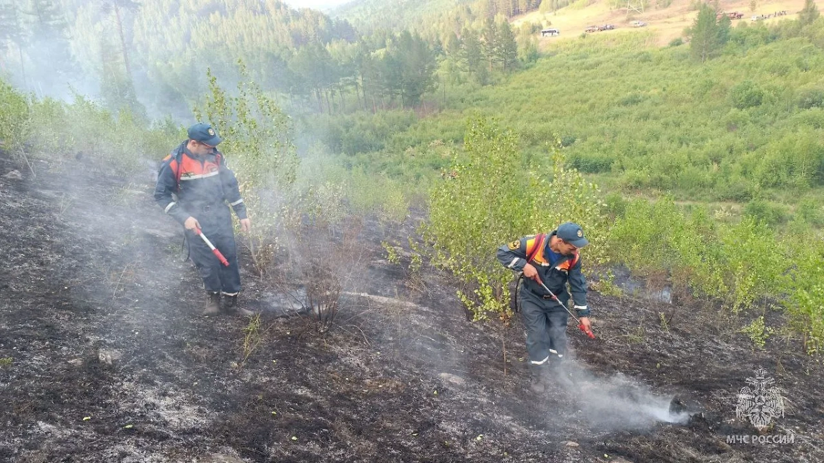 Пожары в Забайкальском крае. Обложка © Telegram/ МЧС Забайкальского края