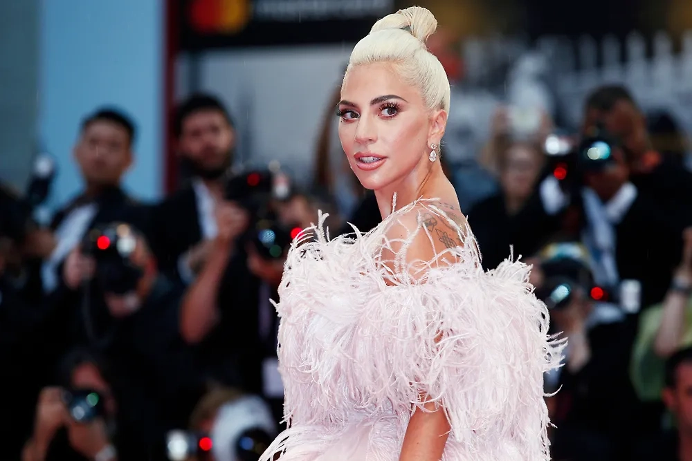 Леди Гага. Обложка © Shutterstock / FOTODOM / Andrea Raffin