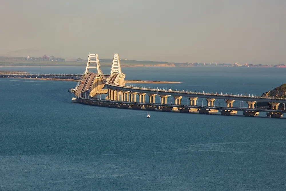 Обложка © Shutterstock / FOTODOM / Margo Ladygina