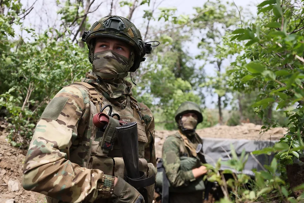 Обложка © ТАСС / Александр Река