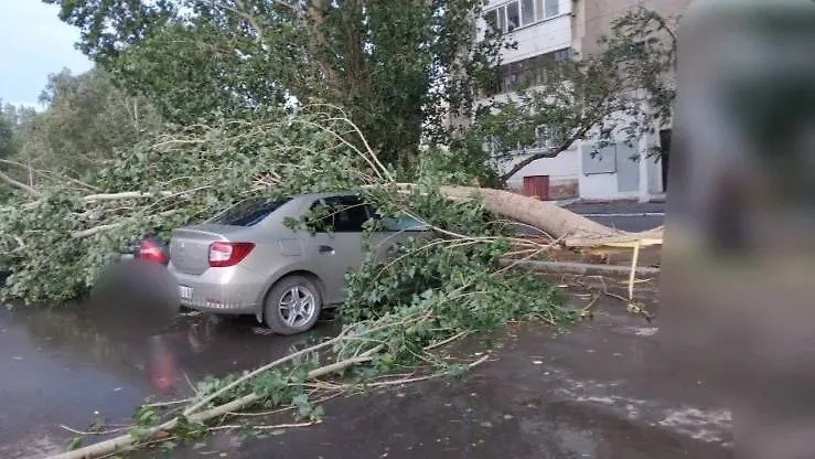 Обложка © Tengrinews