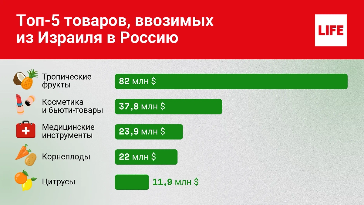 Топ-5 товаров, ввозимых из Израиля в Россию. Инфографика © Life.ru