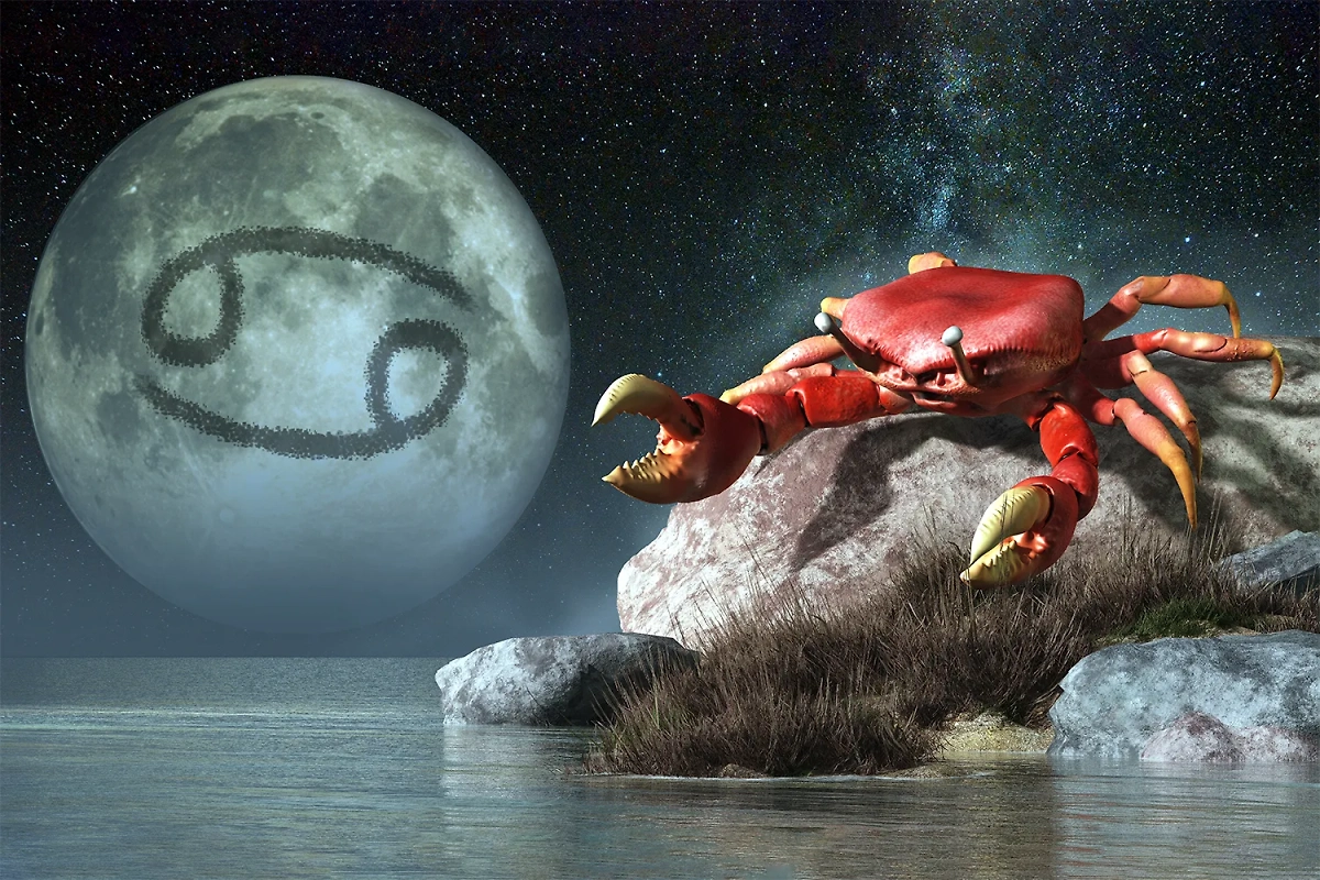 Когда будет новолуние в июне 2025: влияние на здоровье и самочувствие. Фото © Shutterstock / FOTODOM / Daniel Eskridge