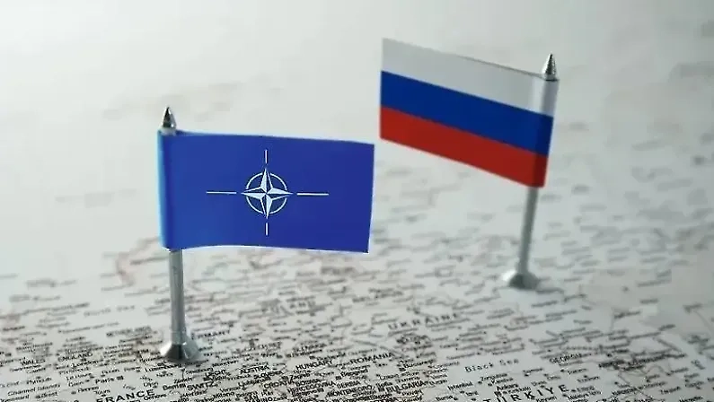 Обложка © Shutterstock / FOTODOM / Rokas Tenys