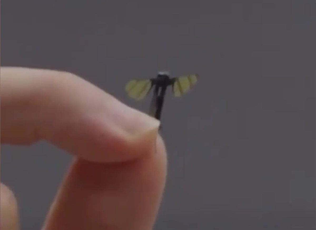 Обложка © Telegram / China Army