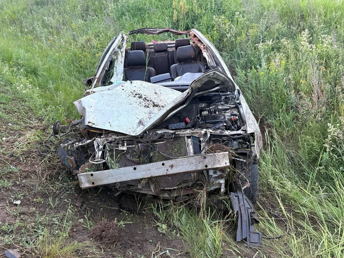 В Удмуртии водитель Toyota Avensis погиб в столкновении с лосем. Фото © Telegram/ Госавтоинспекция Удмуртии