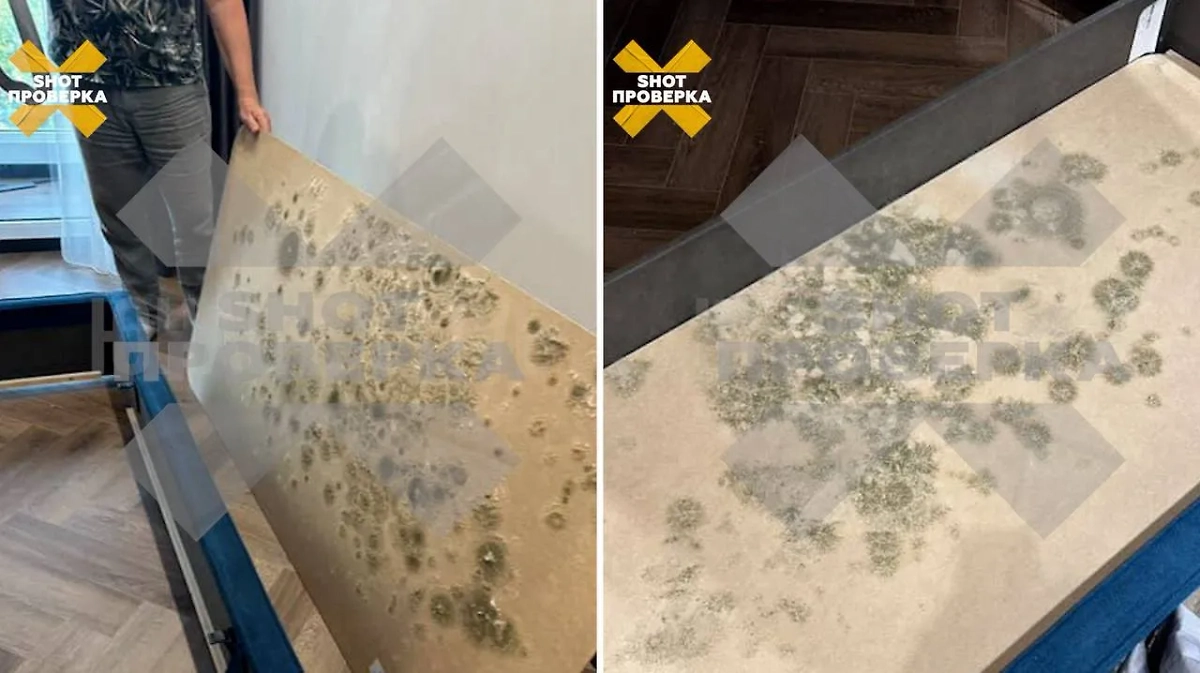 У жительницы Краснодара новая кровать за 100 тыс. покрылась плесенью. Видео © Telegram/SHOT ПРОВЕРКА.