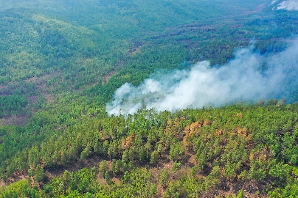 Обложка © ТАСС / Алексей Зарецкий
