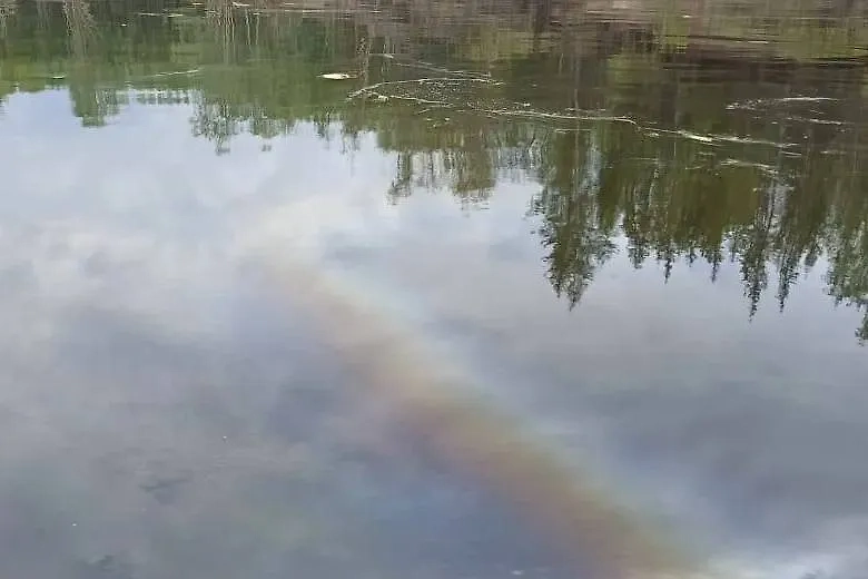 На реке Вилюй обнаружена утечка нефтепродуктов. Обложка © Telegram / Экология Якутии