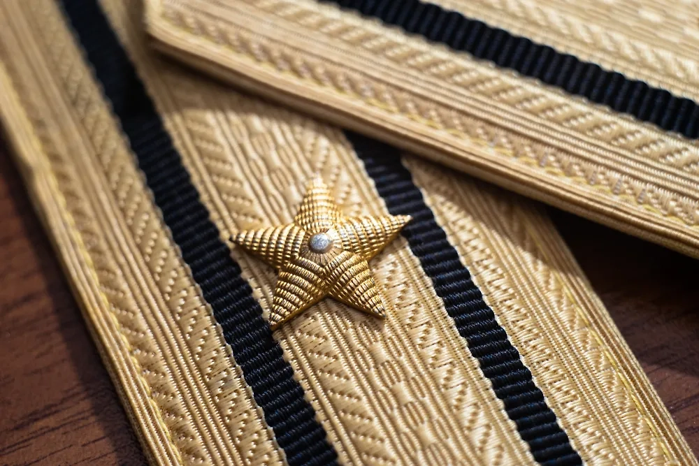 Обложка © Shutterstock / FOTODOM / Sarfoto