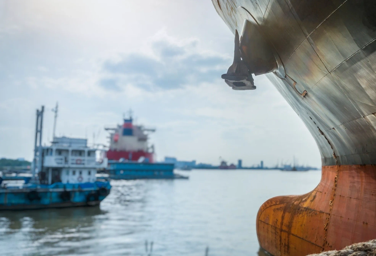 Обложка © freepik / fanjianhua