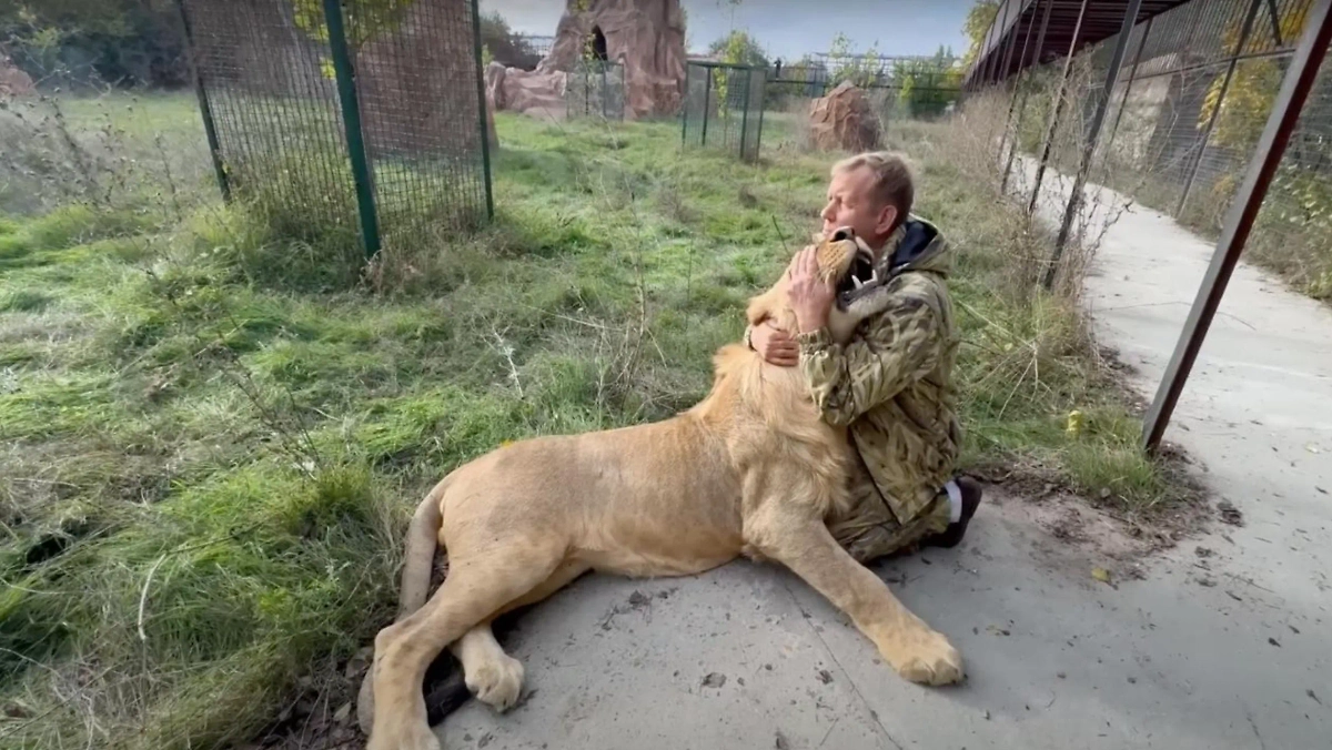 Обложка © Telegram/Олег Зубков ЧЕЛОВЕК ЛЕВ