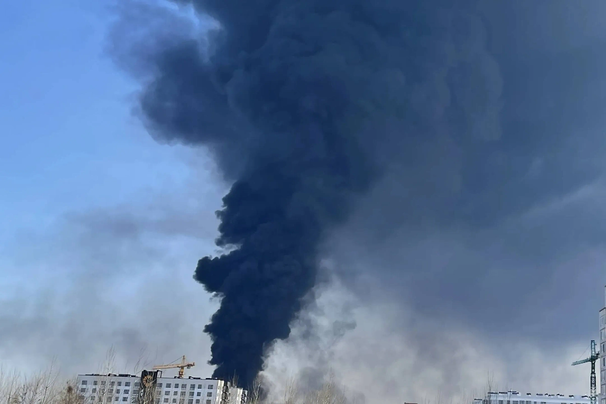 Обложка © Shutterstock / FOTODOM / Kateryna Bielokopytova