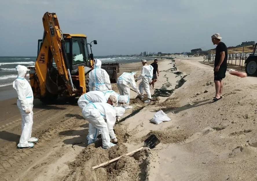 Пляж в Анапе. Обложка © Telegram / Оперативный штаб - Краснодарский край