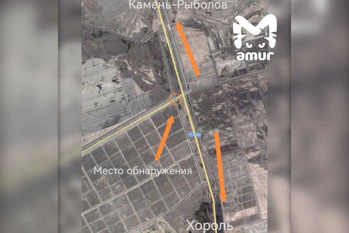 В Приморском крае нашли тело утопленного новорождённого ребёнка. Фото © Telegram / Amur Mash