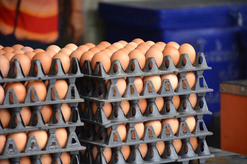 Обложка © Shutterstock / FOTODOM / shutting