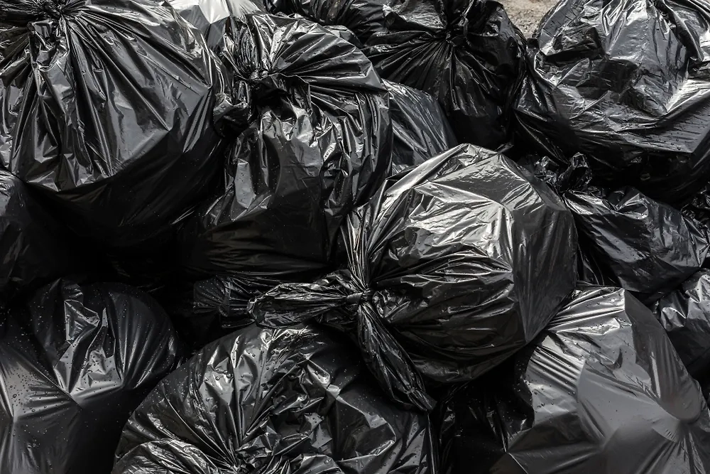 Обложка © Shutterstock / FOTODOM /Matej Kastelic