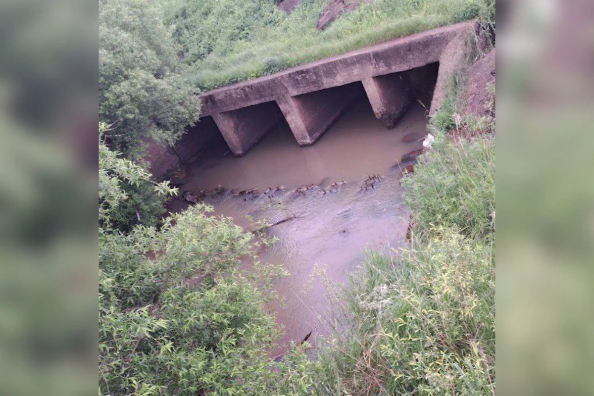 В Приморском крае нашли тело утопленного новорождённого ребёнка. Обложка © Telegram / Amur Mash