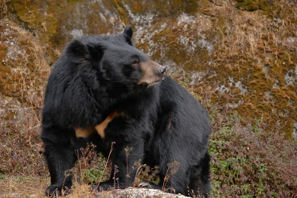 Обложка © Shutterstock / FOTODOM / Shayak_rc