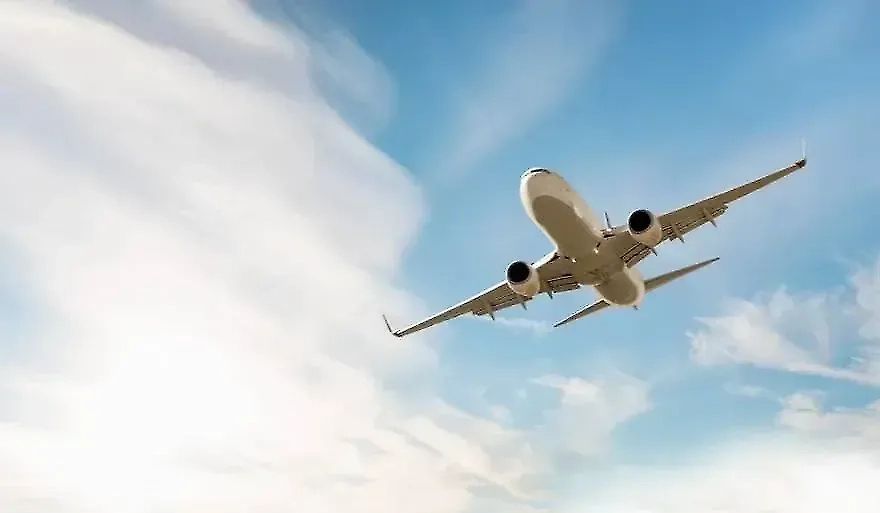 Обложка © Shutterstock / FOTODOM / muratart