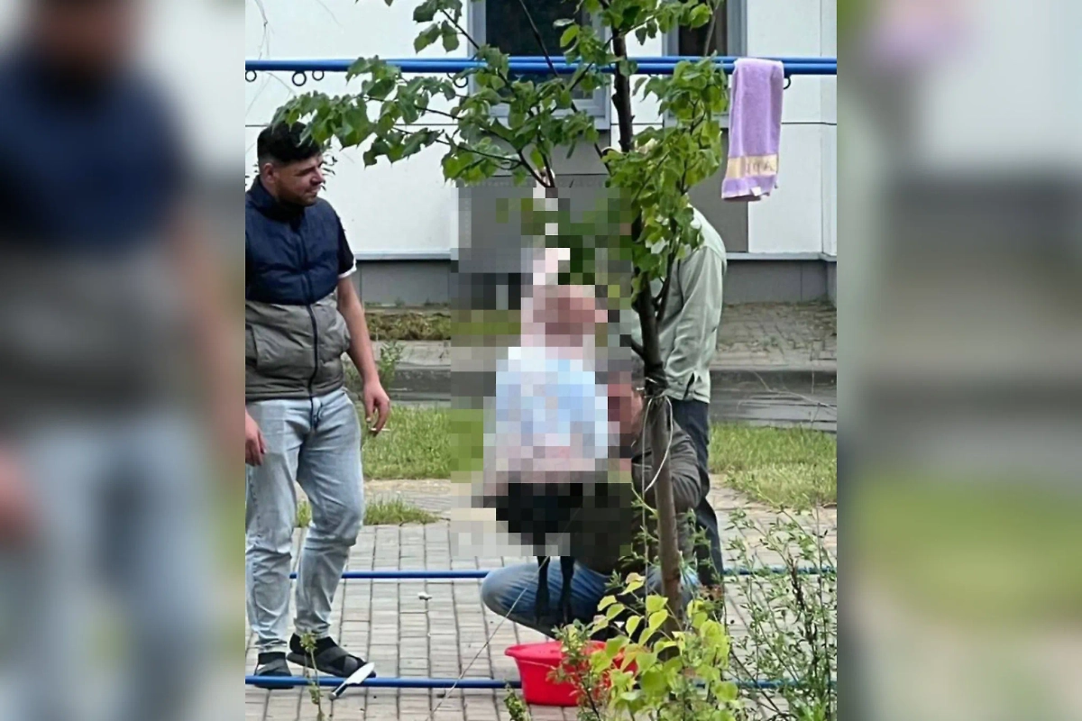 Забой барана на детской площадке в Троицке. Обложка © Telegram / Троицк