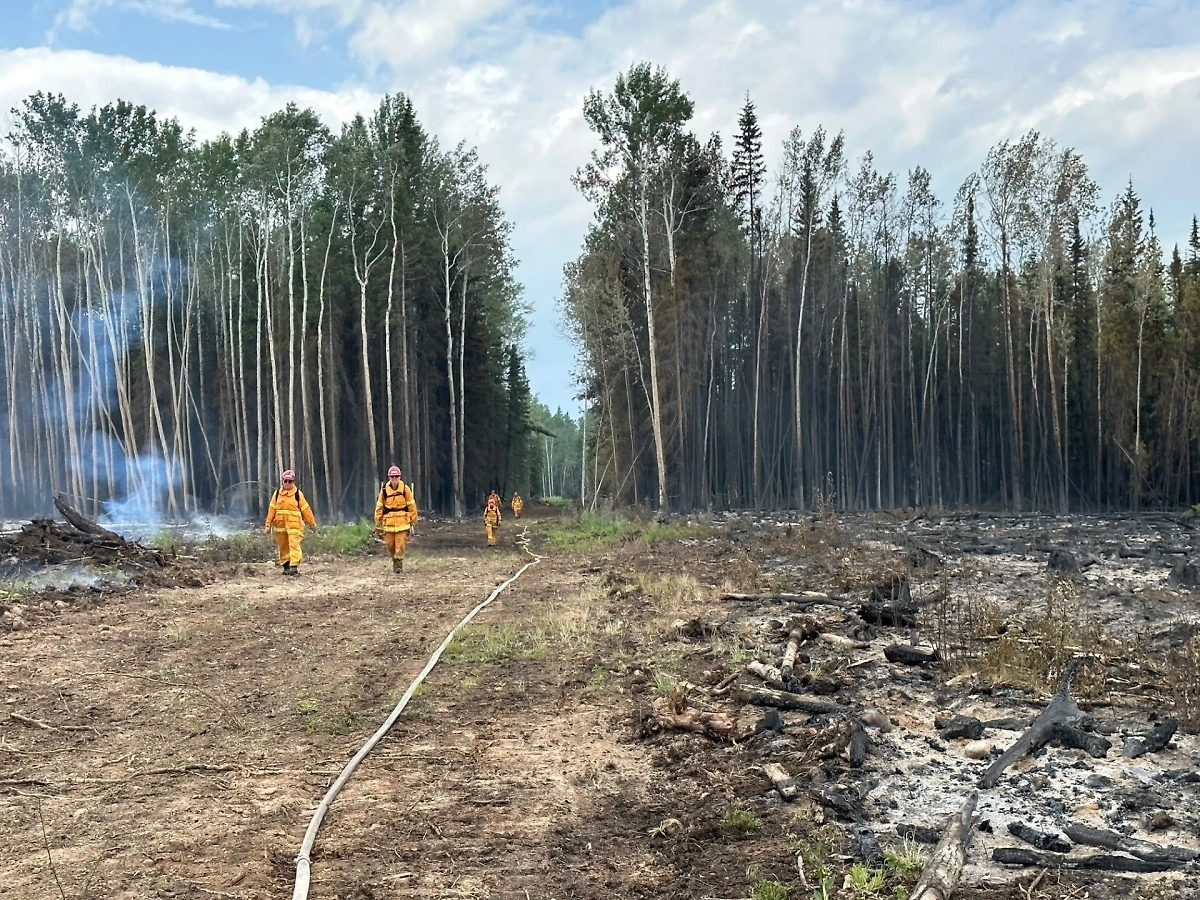 Пожарные тушат лес в Канаде. Обложка © X / National Interagency Fire Center